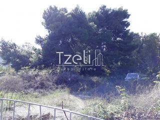 Οικόπεδο 1.000 τ.μ. για πώληση, Αχαΐα, Ρίο-thumb-5