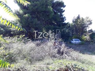 Οικόπεδο 1.000 τ.μ. για πώληση, Αχαΐα, Ρίο-thumb-7