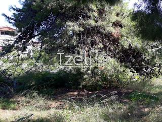Οικόπεδο 1.000 τ.μ. για πώληση, Αχαΐα, Ρίο-thumb-12