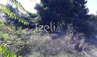 Οικόπεδο 1.000 τ.μ. για πώληση, Αχαΐα, Ρίο-thumb-21