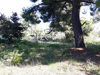 Οικόπεδο 1.000 τ.μ. για πώληση, Αχαΐα, Ρίο-thumb-23