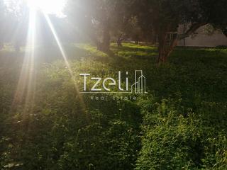 Οικόπεδο 622 τ.μ. για πώληση