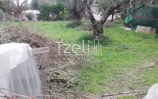 Οικόπεδο 622 τ.μ. για πώληση, Αχαΐα, Ρίο-thumb-9