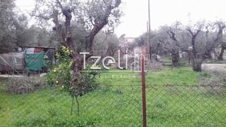 Οικόπεδο 622 τ.μ. για πώληση, Αχαΐα, Ρίο-thumb-15