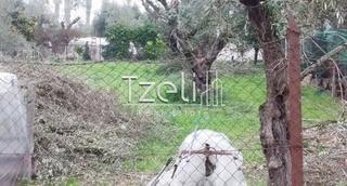 Οικόπεδο 622 τ.μ. για πώληση, Αχαΐα, Ρίο-thumb-19
