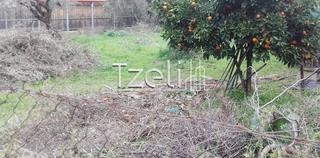 Οικόπεδο 622 τ.μ. για πώληση, Αχαΐα, Ρίο-thumb-23