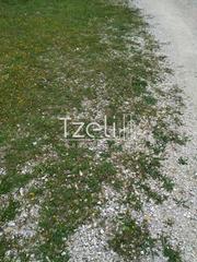 Οικόπεδο 4.240 τ.μ. για πώληση, Αχαΐα, Πάτρα-thumb-19