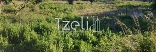 Οικόπεδο 9.800 τ.μ. για πώληση, Αχαΐα, Πάτρα-thumb-22