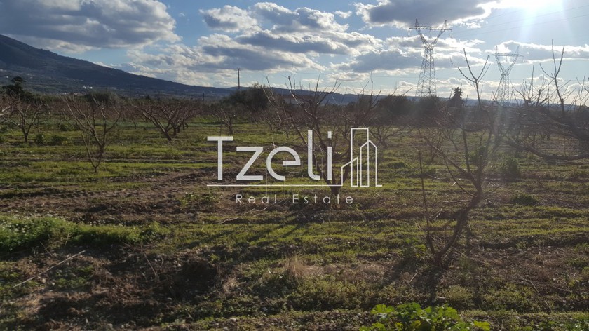 Land plot 20.000sqm for rent-Patra » T.E.I.