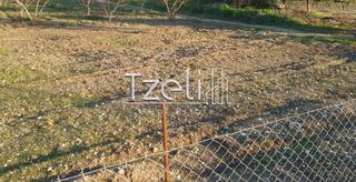 Οικόπεδο 20.000 τ.μ. για ενοικίαση, Αχαΐα, Πάτρα-thumb-5