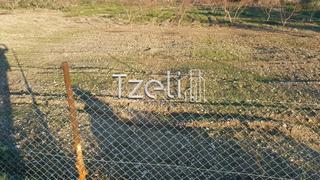 Οικόπεδο 20.000 τ.μ. για ενοικίαση, Αχαΐα, Πάτρα-thumb-10