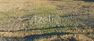 Οικόπεδο 20.000 τ.μ. για ενοικίαση, Αχαΐα, Πάτρα-thumb-17