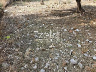Οικόπεδο 250 τ.μ. για πώληση, Αχαΐα, Μεσσατίδα-thumb-17