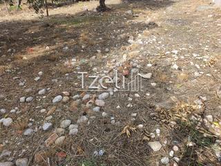 Οικόπεδο 250 τ.μ. για πώληση, Αχαΐα, Μεσσατίδα-thumb-19