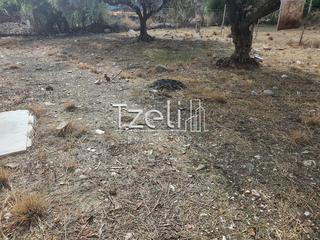 Οικόπεδο 250 τ.μ. για πώληση, Αχαΐα, Μεσσατίδα-thumb-23