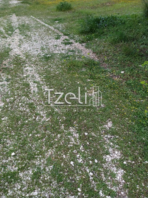 Land plot 500sqm for sale-Messatida » Thea