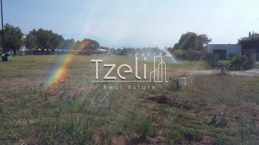 Land plot 5.500sqm for sale-Larissos » Lakkopetra
