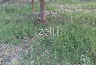 Οικόπεδο 210 τ.μ. για πώληση, Αχαΐα, Πάτρα-thumb-10