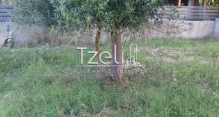 Οικόπεδο 210 τ.μ. για πώληση, Αχαΐα, Πάτρα-thumb-15
