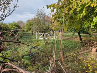 Αγροτεμάχια 1.800 τ.μ. για πώληση, Αχαΐα, Μεσσατίδα-thumb-1