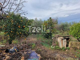Αγροτεμάχια 1.800 τ.μ. για πώληση, Αχαΐα, Μεσσατίδα-thumb-4