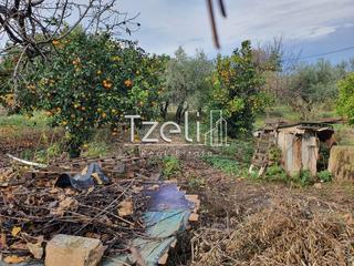 Αγροτεμάχια 1.800 τ.μ. για πώληση, Αχαΐα, Μεσσατίδα-thumb-7