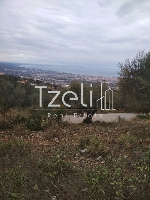 Parcel 904sqm for sale-Patra » Elikistra