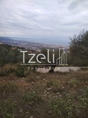 Αγροτεμάχια 904 τ.μ. για πώληση