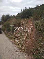 Αγροτεμάχια 904 τ.μ. για πώληση, Αχαΐα, Πάτρα-thumb-1