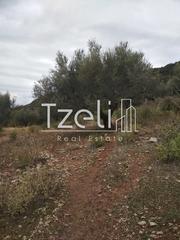 Αγροτεμάχια 904 τ.μ. για πώληση, Αχαΐα, Πάτρα-thumb-2