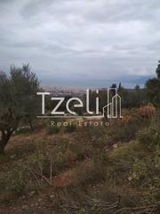 Αγροτεμάχια 904 τ.μ. για πώληση, Αχαΐα, Πάτρα-thumb-3