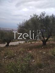 Αγροτεμάχια 904 τ.μ. για πώληση, Αχαΐα, Πάτρα-thumb-4