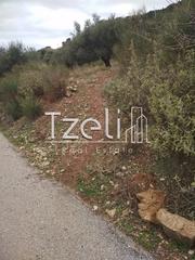 Αγροτεμάχια 904 τ.μ. για πώληση, Αχαΐα, Πάτρα-thumb-5
