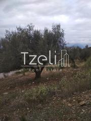 Αγροτεμάχια 904 τ.μ. για πώληση, Αχαΐα, Πάτρα-thumb-6