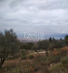 Αγροτεμάχια 904 τ.μ. για πώληση, Αχαΐα, Πάτρα-thumb-7