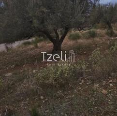 Αγροτεμάχια 904 τ.μ. για πώληση, Αχαΐα, Πάτρα-thumb-9