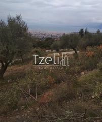 Αγροτεμάχια 904 τ.μ. για πώληση, Αχαΐα, Πάτρα-thumb-10