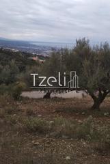 Αγροτεμάχια 904 τ.μ. για πώληση, Αχαΐα, Πάτρα-thumb-11