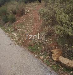 Αγροτεμάχια 904 τ.μ. για πώληση, Αχαΐα, Πάτρα-thumb-16