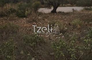 Αγροτεμάχια 904 τ.μ. για πώληση, Αχαΐα, Πάτρα-thumb-18