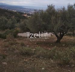 Αγροτεμάχια 904 τ.μ. για πώληση, Αχαΐα, Πάτρα-thumb-20
