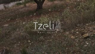Αγροτεμάχια 904 τ.μ. για πώληση, Αχαΐα, Πάτρα-thumb-21