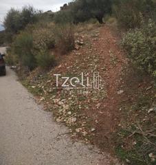 Αγροτεμάχια 904 τ.μ. για πώληση, Αχαΐα, Πάτρα-thumb-22