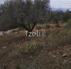 Αγροτεμάχια 904 τ.μ. για πώληση, Αχαΐα, Πάτρα-thumb-23