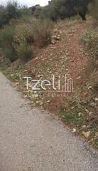 Αγροτεμάχια 904 τ.μ. για πώληση, Αχαΐα, Πάτρα-thumb-24