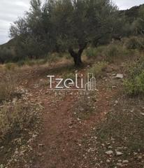 Αγροτεμάχια 904 τ.μ. για πώληση, Αχαΐα, Πάτρα-thumb-25