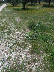 Οικόπεδο 543 τ.μ. για πώληση, Αχαΐα, Μεσσατίδα-thumb-13