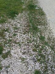 Οικόπεδο 543 τ.μ. για πώληση, Αχαΐα, Μεσσατίδα-thumb-20
