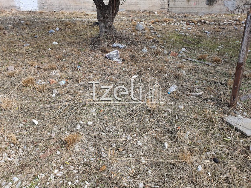 Land plot 401sqm for sale-Messatida » Demenika