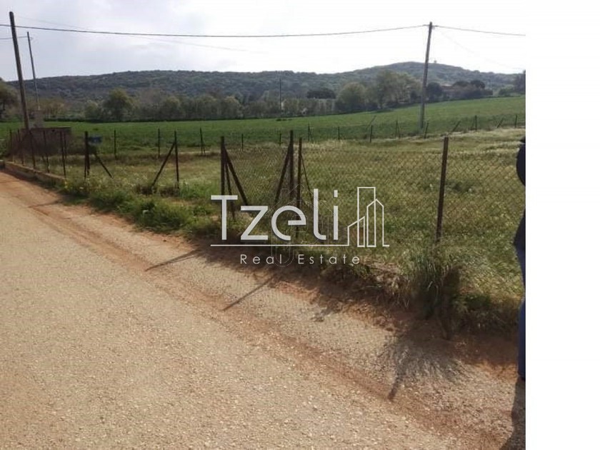 Land plot 1.000sqm for sale-Larissos » Lakkopetra